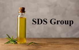 SDS Group