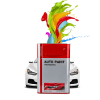 Auto Paints